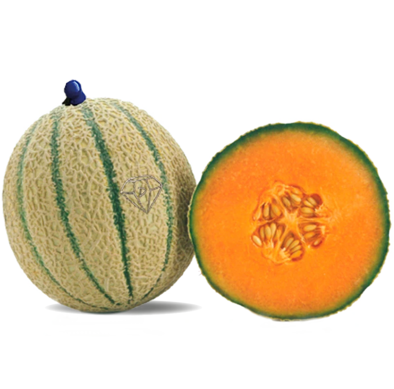Retato italiano melone