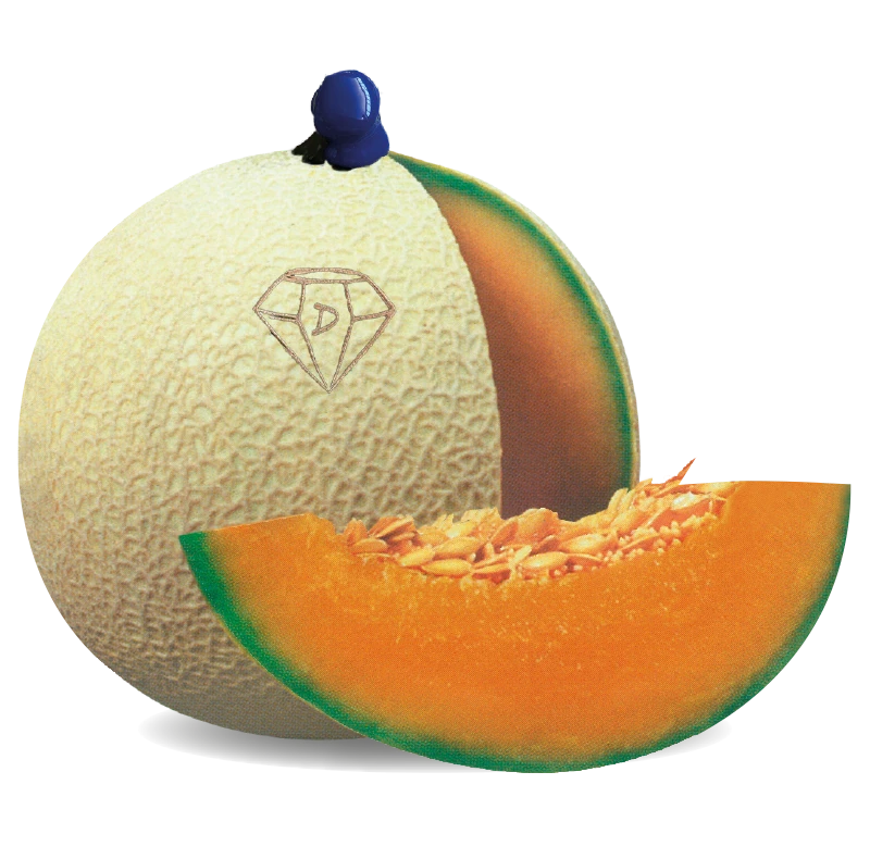 Supremo melone