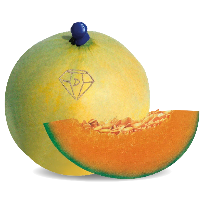 the-Moon-melone