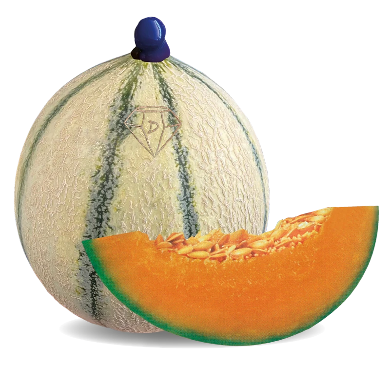 Charentais melone novita