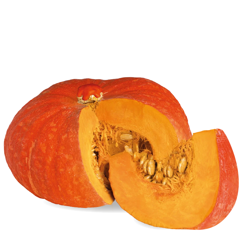 Zucca Allegra