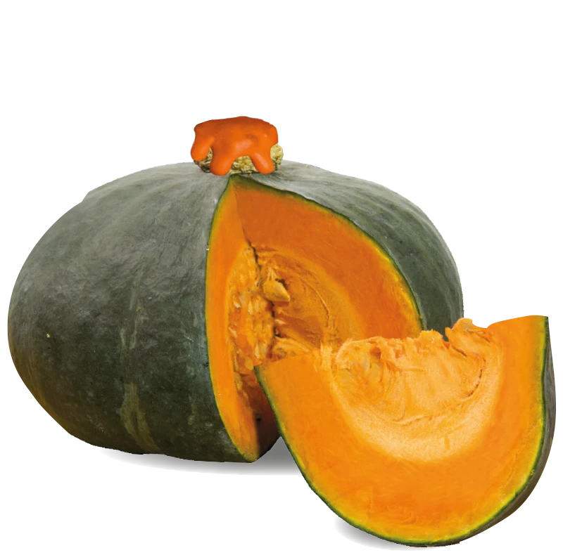 Zucca Delica