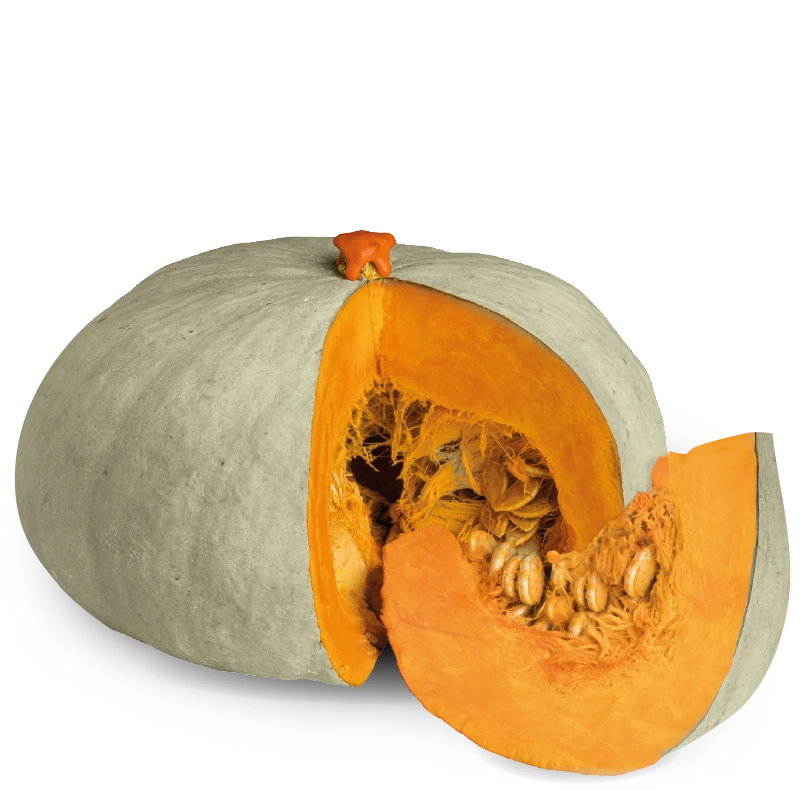 Zucca Preziosa